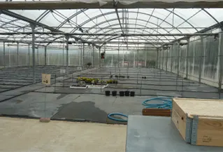 invernadero-interior-huerto-plantas-manguera