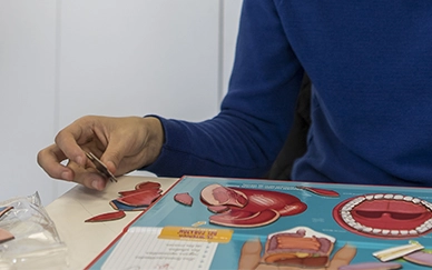 persona-discapacidad-mano-puzzle-anatomia