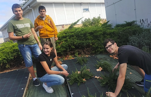 grupo-personas-jardin-plantando-arboles